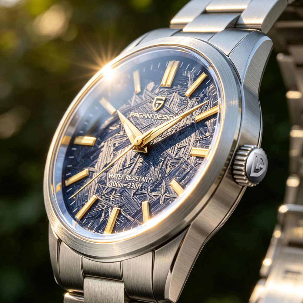 PAGANI DESIGN 40MM Men Quartz  - Accessories With Watch recension och pris